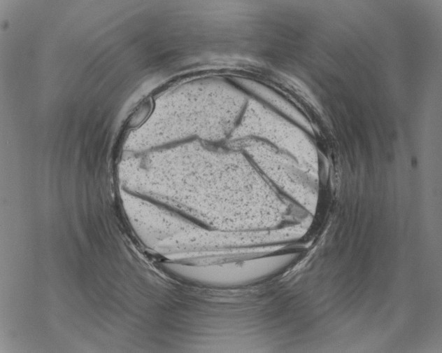 X0000068281172200605191846