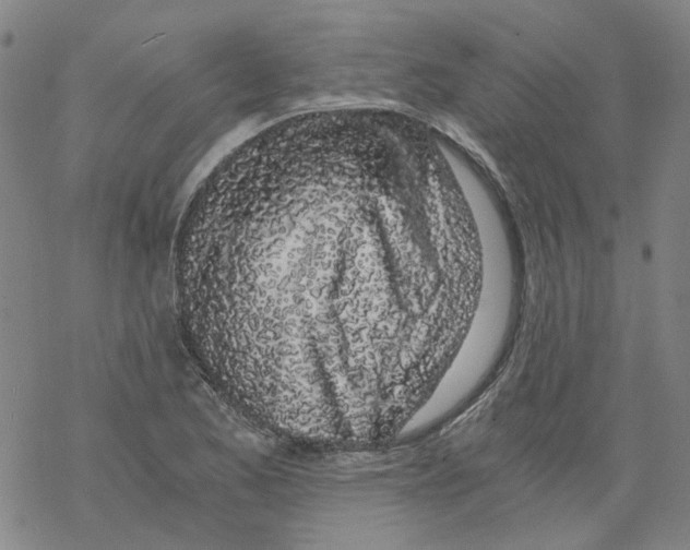 X0000068281173200605191846