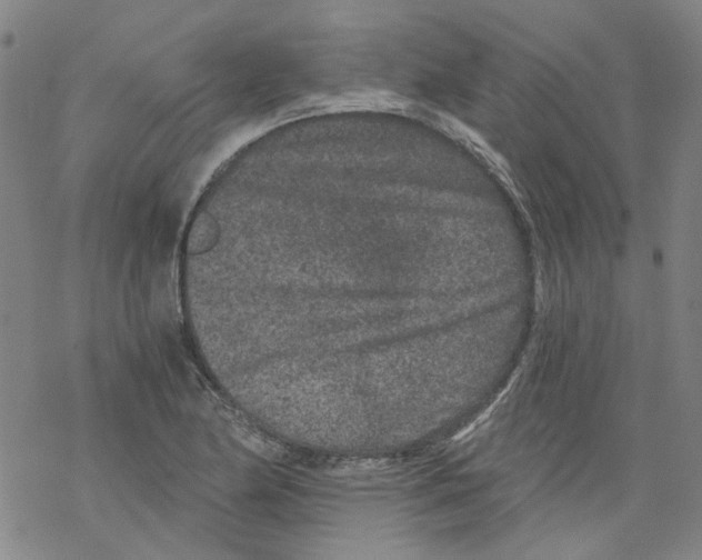 X0000068281174200605191846