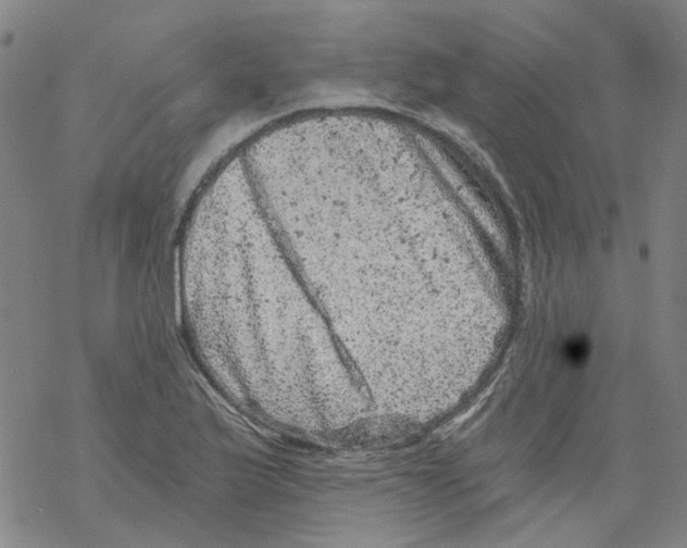 X0000068281175200605191846