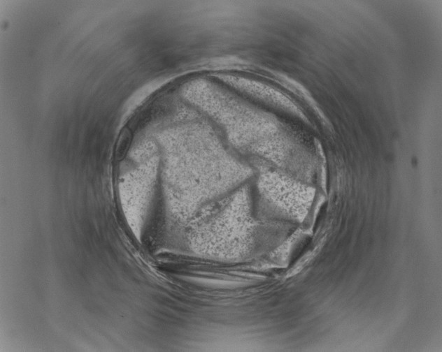 X0000068281176200605191846