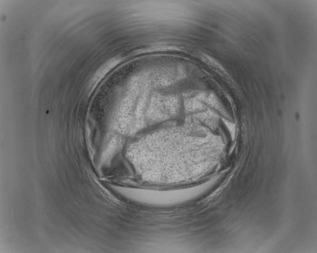 X0000068281177200605191846