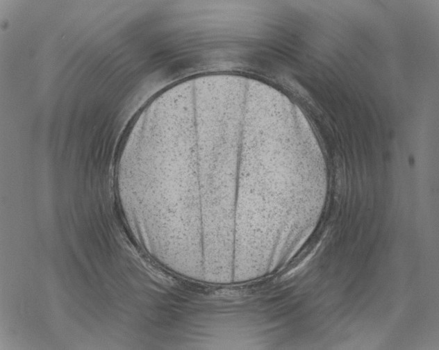 X0000068281178200605191846