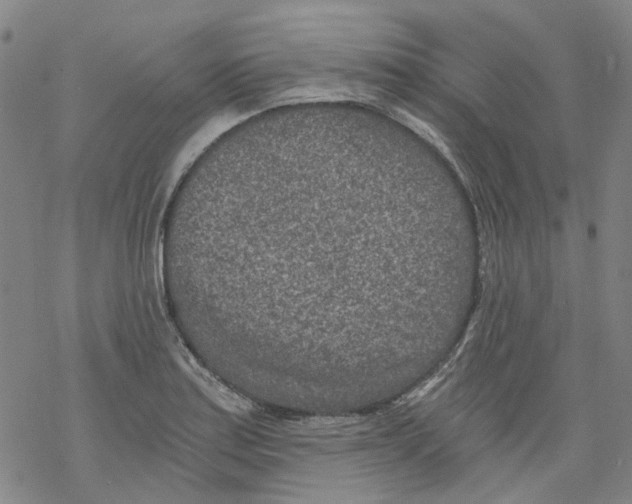 X0000068281179200605191846