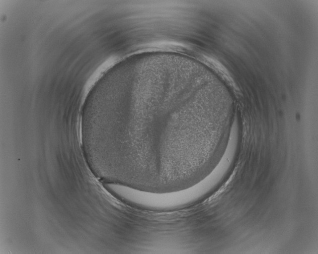 X0000068281180200605191846