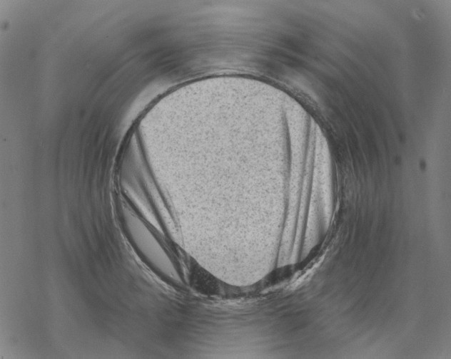 X0000068281182200605191846