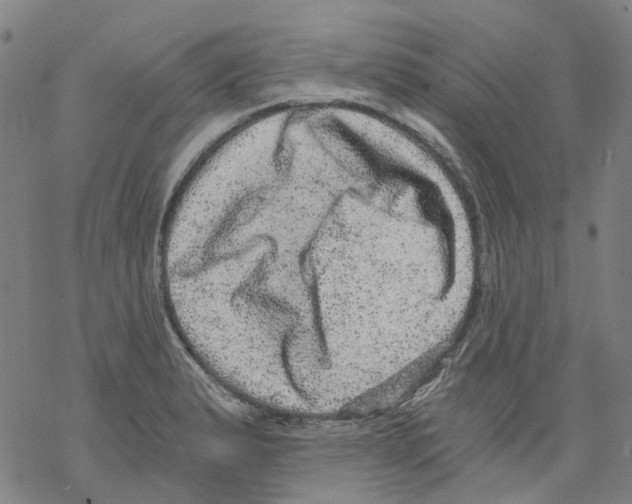 X0000068281183200605191846