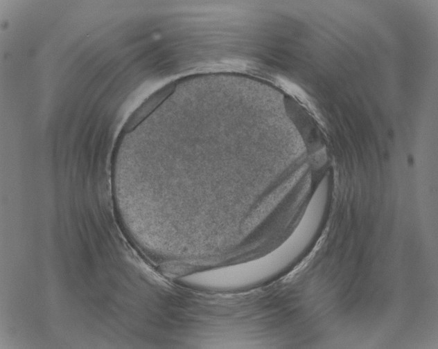 X0000068281184200605191846