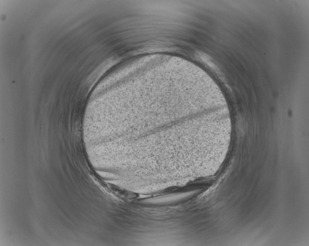 X0000068281185200605191846