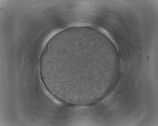 X0000068281187200605191846