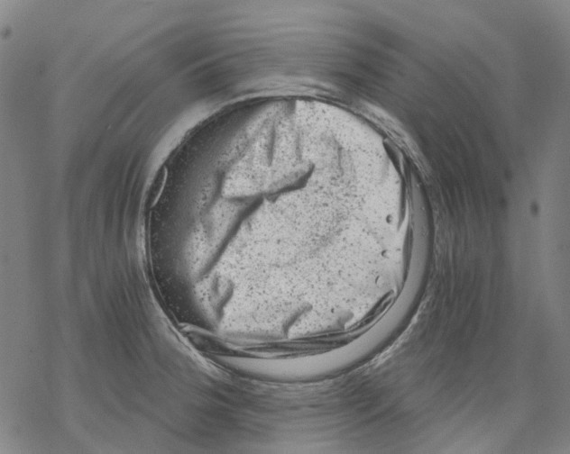 X0000068281188200605191846