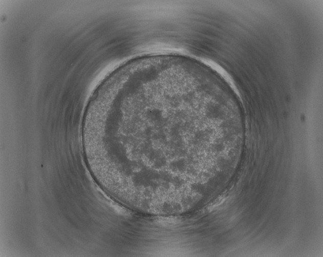 X0000068281191200605191846