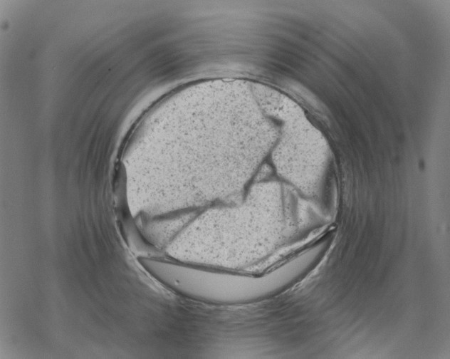 X0000068281192200605191845