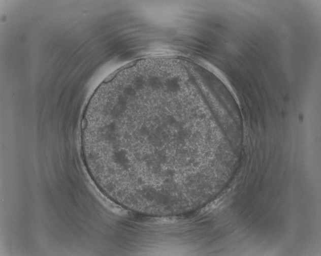 X0000068281195200605191845