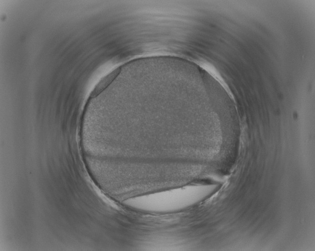 X0000068281197200605191845