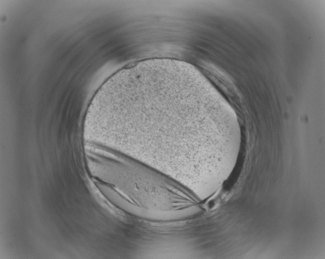 X0000068281200200605191845