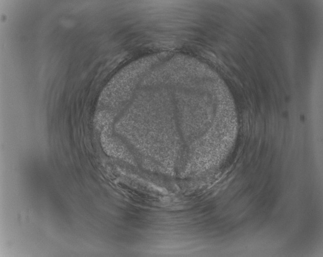 X0000068281201200605191845