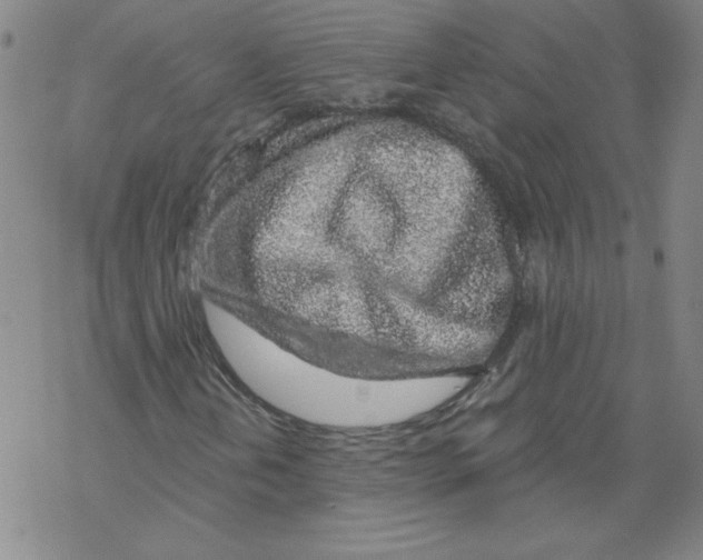 X0000068281202200605191845