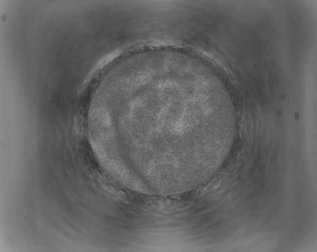 X0000068281207200605191845