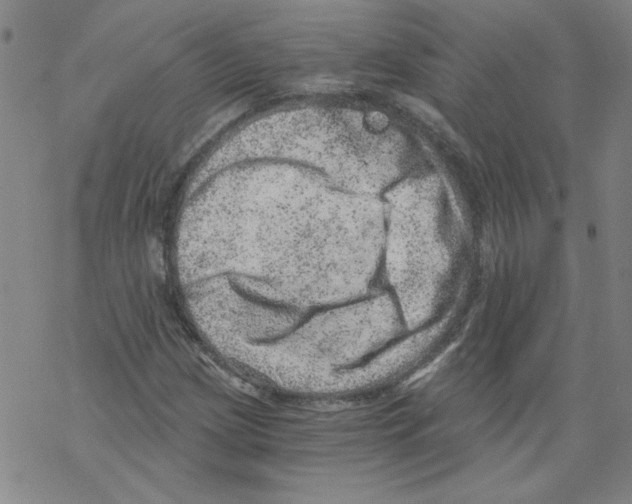 X0000068281209200605191845