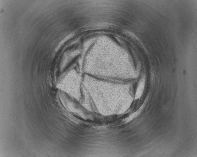 X0000068281210200605191845