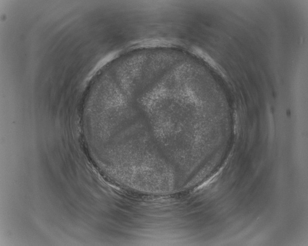 X0000068281213200605191845