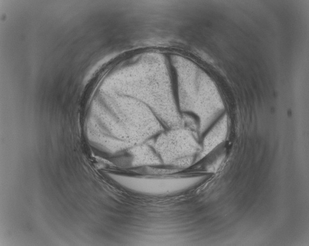 X0000068281214200605191845