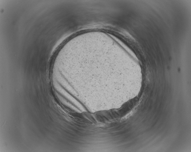 X0000068281216200605191845