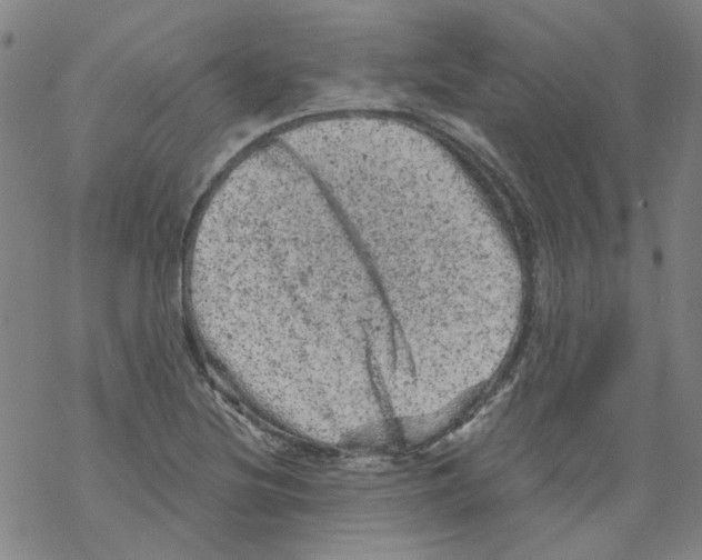 X0000068281220200605191845