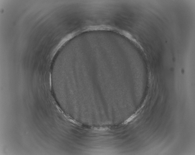 X0000068281221200605191845