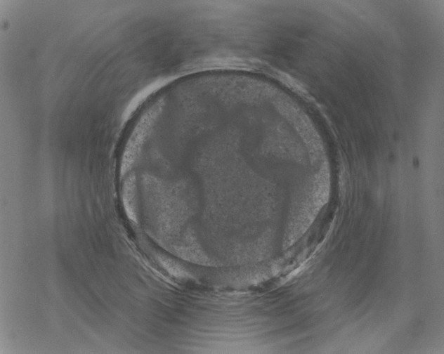 X0000068281222200605191845