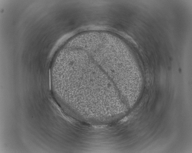 X0000068281223200605191845