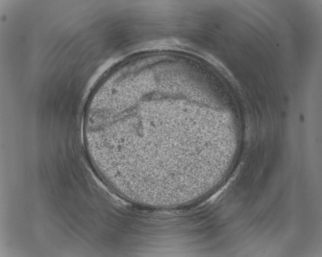 X0000068281224200605191845