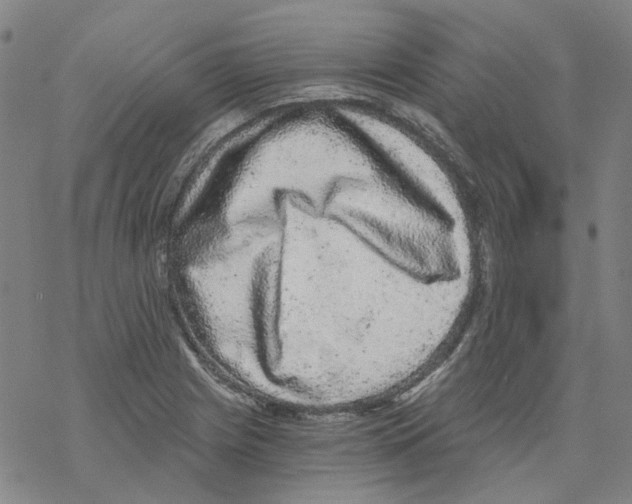 X0000068281225200605191845