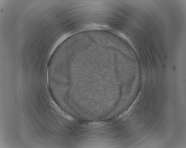 X0000068281227200605191845