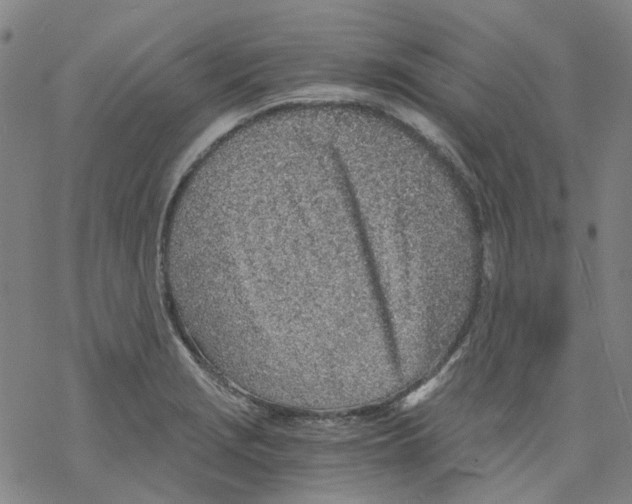 X0000068281229200605191845