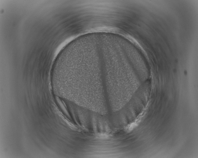 X0000068281230200605191845