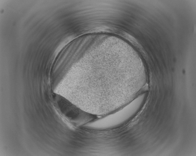 X0000068281234200605191845