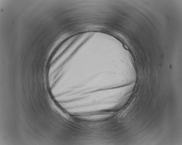 X0000068281235200605191845