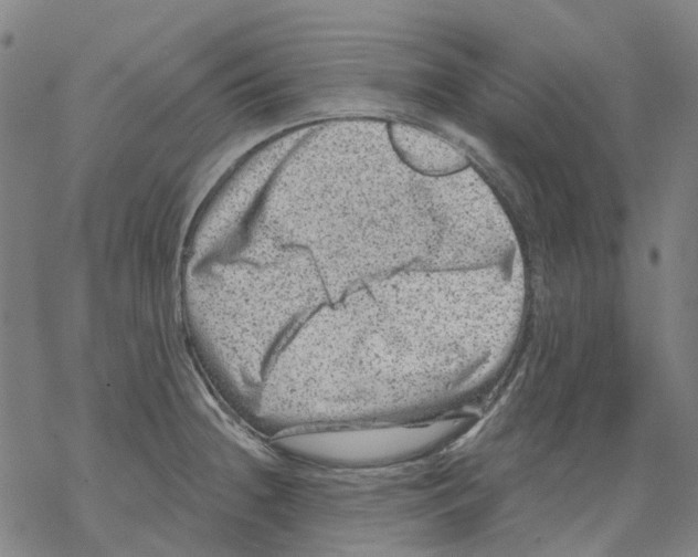 X0000068281236200605191845