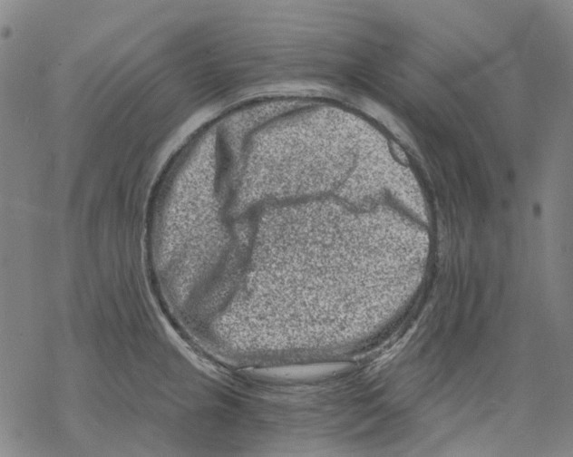 X0000068281237200605191845