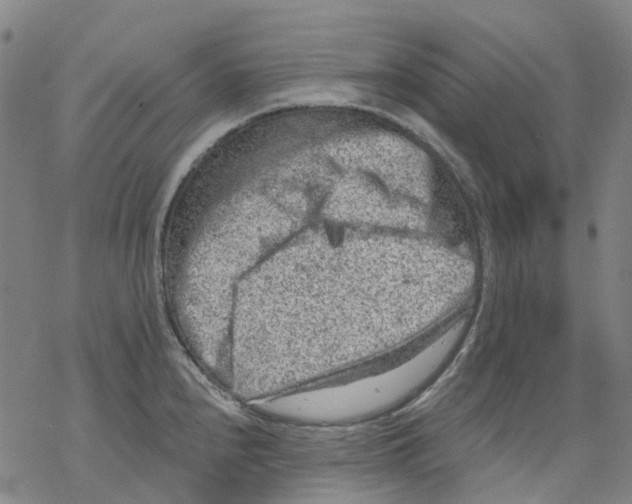 X0000068281240200605191845