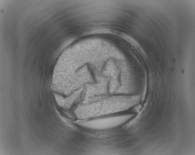 X0000068281241200605191845