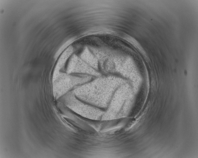 X0000068281242200605191845