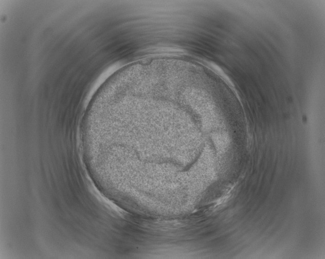 X0000068281243200605191845