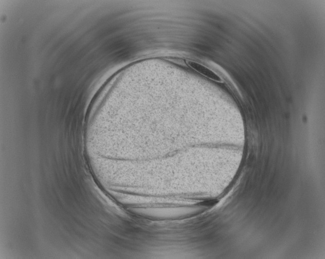 X0000068281244200605191845