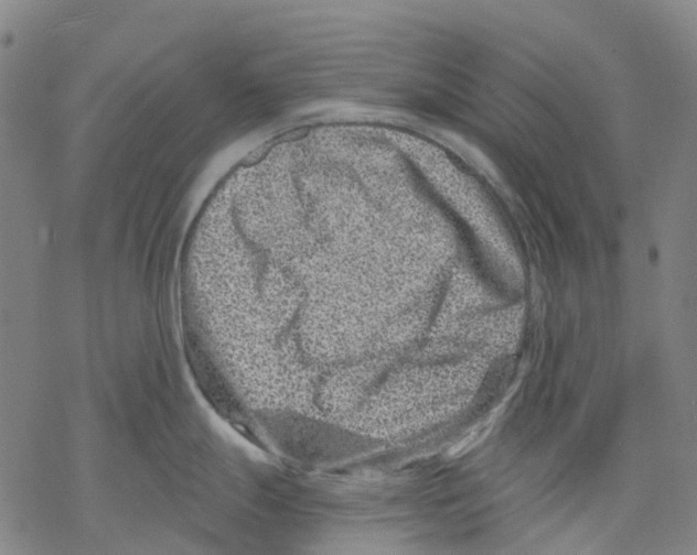 X0000068281247200605191845