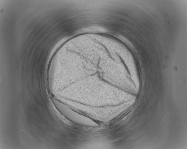 X0000068281248200605191845