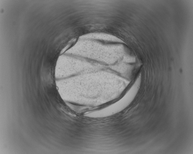 X0000068281250200605191845