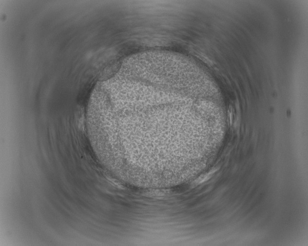 X0000068281251200605191845